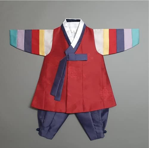 Beautiful Multi-Colored Sleeves Boy Hanbok