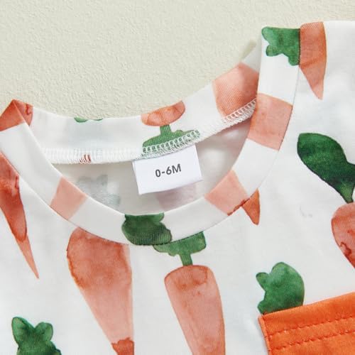 Bunny Carrot Toddler Boys Easter Short Sleeve Set