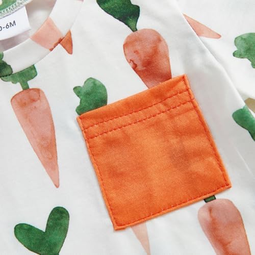 Bunny Carrot Toddler Boys Easter Short Sleeve Set