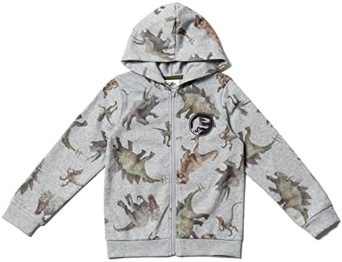 Little Kids to Big Kids Dinosaur T-Rex hoodie and pants set