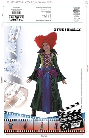 Studio Halloween Salem Witch Costume