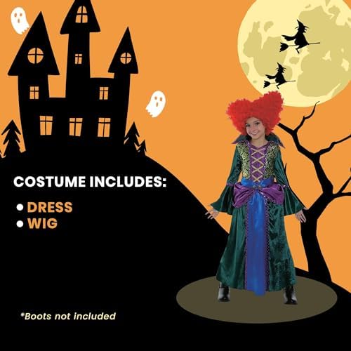 Studio Halloween Salem Witch Costume