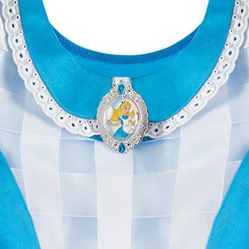 Alicenamespace Alice Costumes in Wonderland