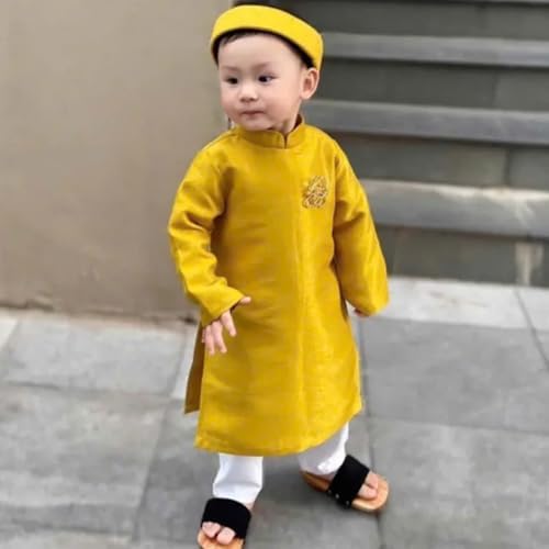 Stylish Boys ao Dai Dress for Special Occasions