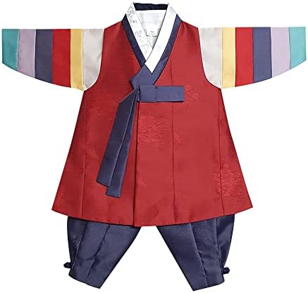 Beautiful Multi-Colored Sleeves Boy Hanbok