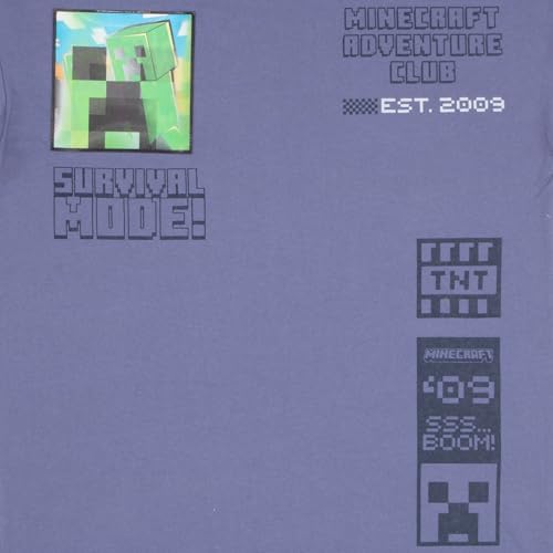 MinecraftT Shirts for Boys - Set of 2 - LenticularPatchesCodecRoyal
