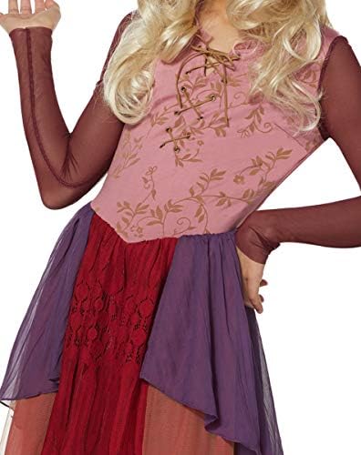 Spirit Halloween Hocus Pocus Sarah Sanderson Costume Dress