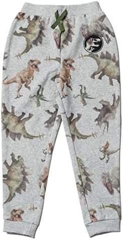 Little Kids to Big Kids Dinosaur T-Rex hoodie and pants set