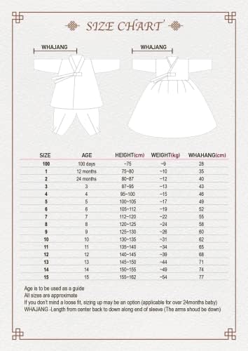 Beautiful Multi-Colored Sleeves Boy Hanbok