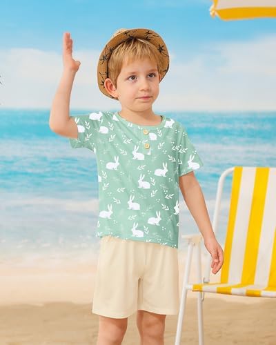 CocoRARA Toddler Boys Hawaiian Summer Outfit with T-Shirt Shorts