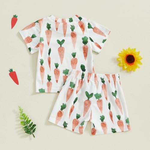 Bunny Carrot Toddler Boys Easter Short Sleeve Set