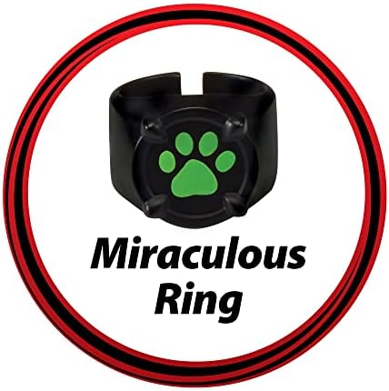 Mirror of Miraculous Ladybug Cat Noir Superhero Role-Play Collectible Kids Costume