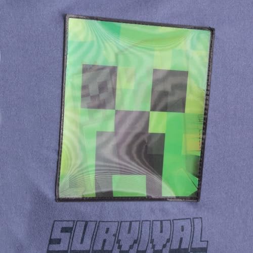 MinecraftT Shirts for Boys - Set of 2 - LenticularPatchesCodecRoyal