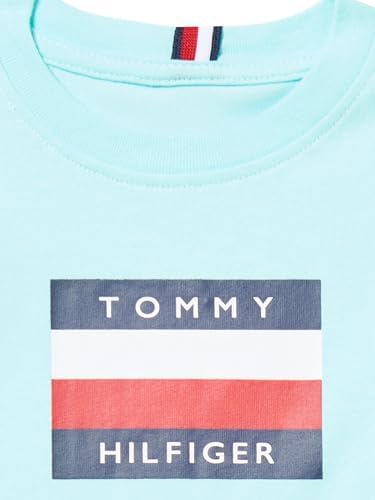Tommy Hilfiger Boys Short Set