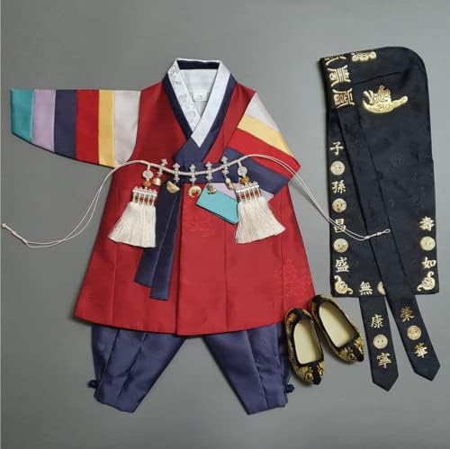 Beautiful Multi-Colored Sleeves Boy Hanbok