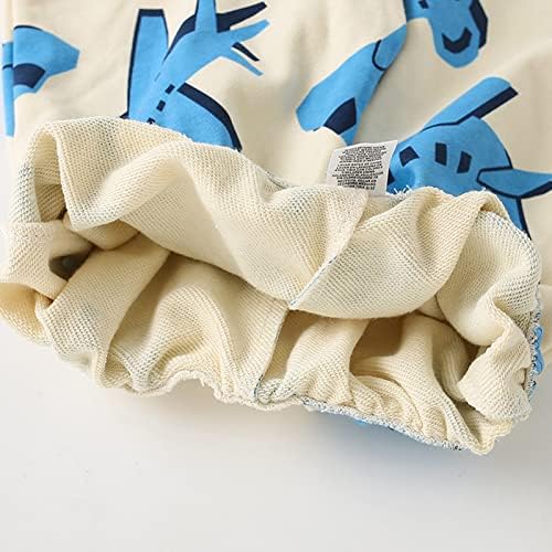 Frogwill Toddler BoysCoordinate Set