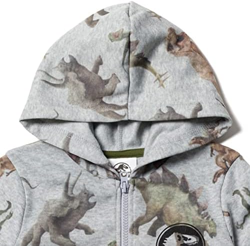 Little Kids to Big Kids Dinosaur T-Rex hoodie and pants set