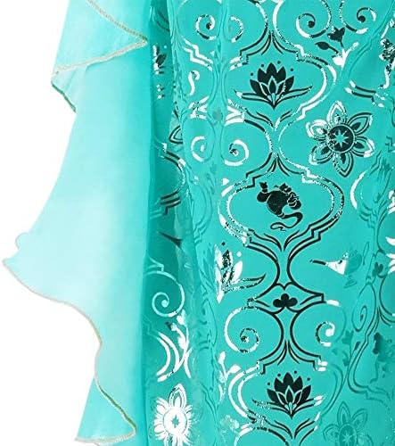 Disney Jasmine Aladdin Costume