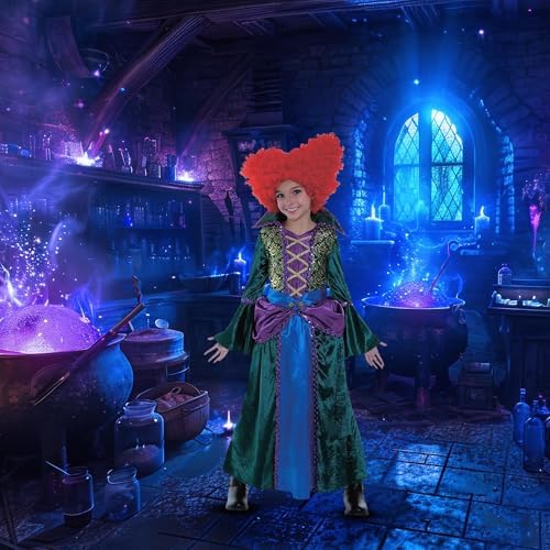 Studio Halloween Salem Witch Costume