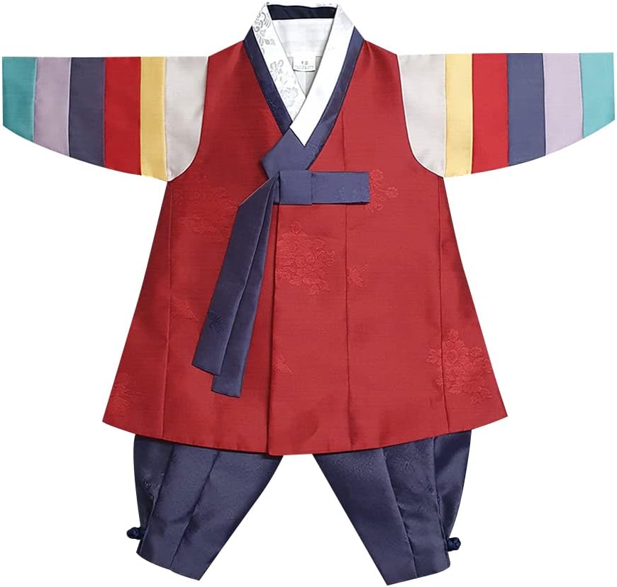 Beautiful Multi-Colored Sleeves Boy Hanbok