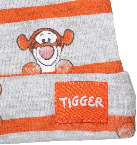 Disney Winnie the Pooh Newborn to Infant 3-Piece Set