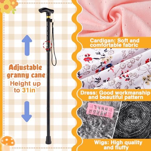 100th Day Grandma Costume