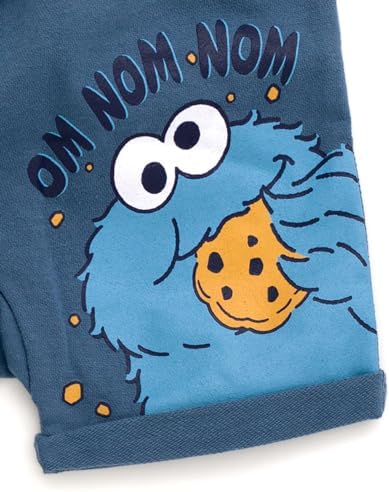 Sesame Street Pullover Hoodie French Terry Shorts for Baby Boys