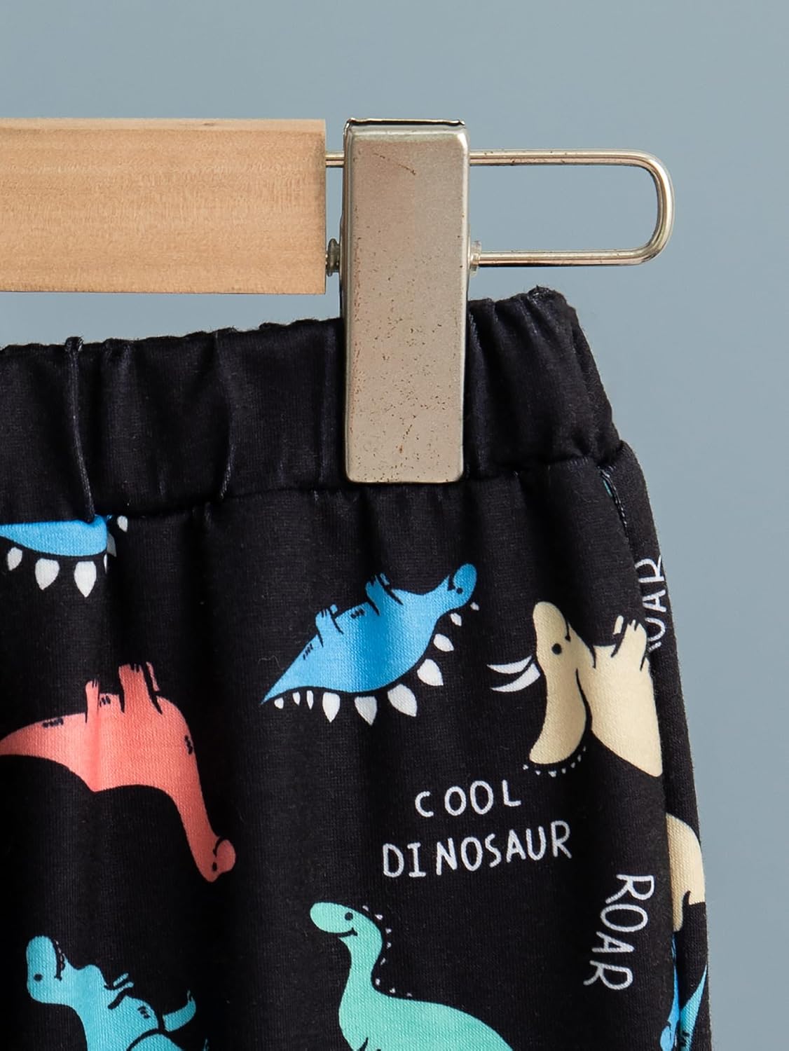 Premium Comfort Boys 2-Piece Dinosaur Print Outfit Set