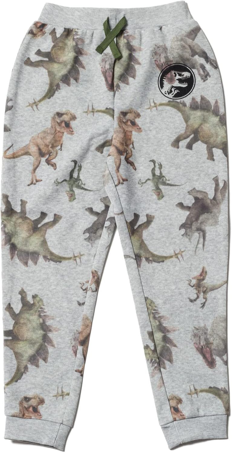 Little Kids to Big Kids Dinosaur T-Rex hoodie and pants set