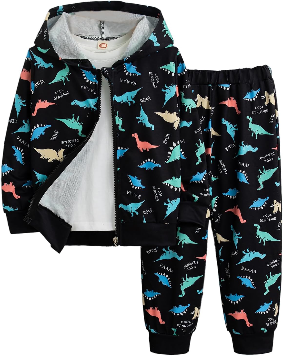 Premium Comfort Boys 2-Piece Dinosaur Print Outfit Set