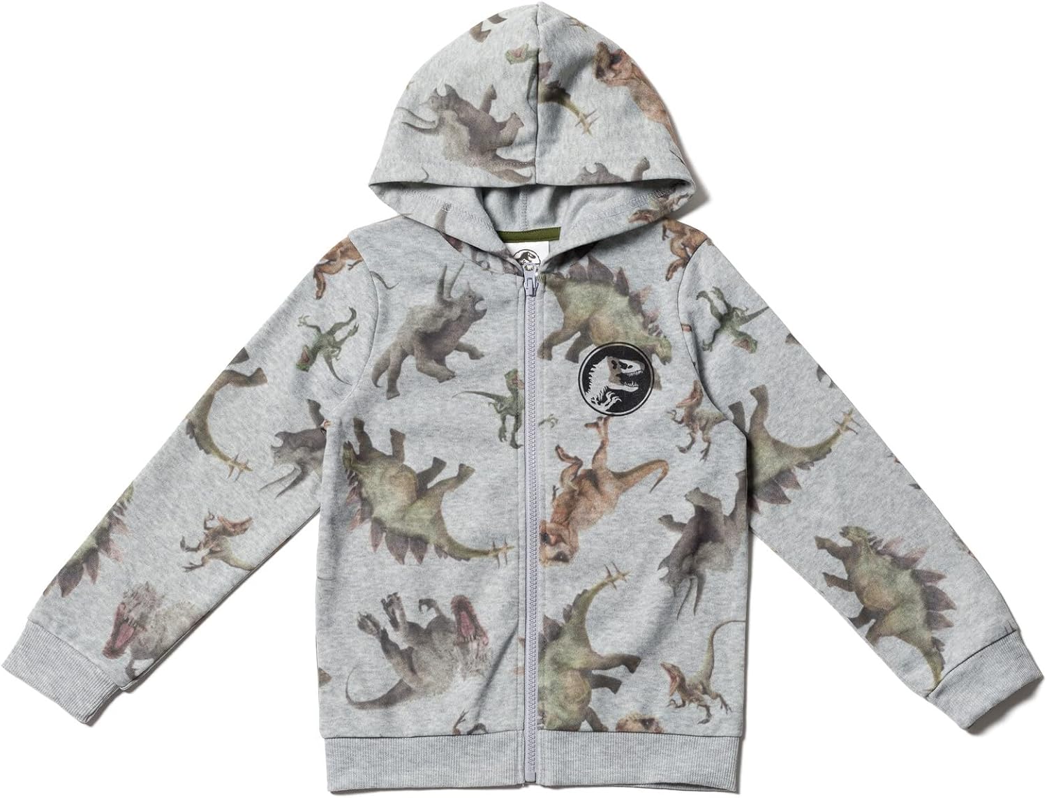 Little Kids to Big Kids Dinosaur T-Rex hoodie and pants set