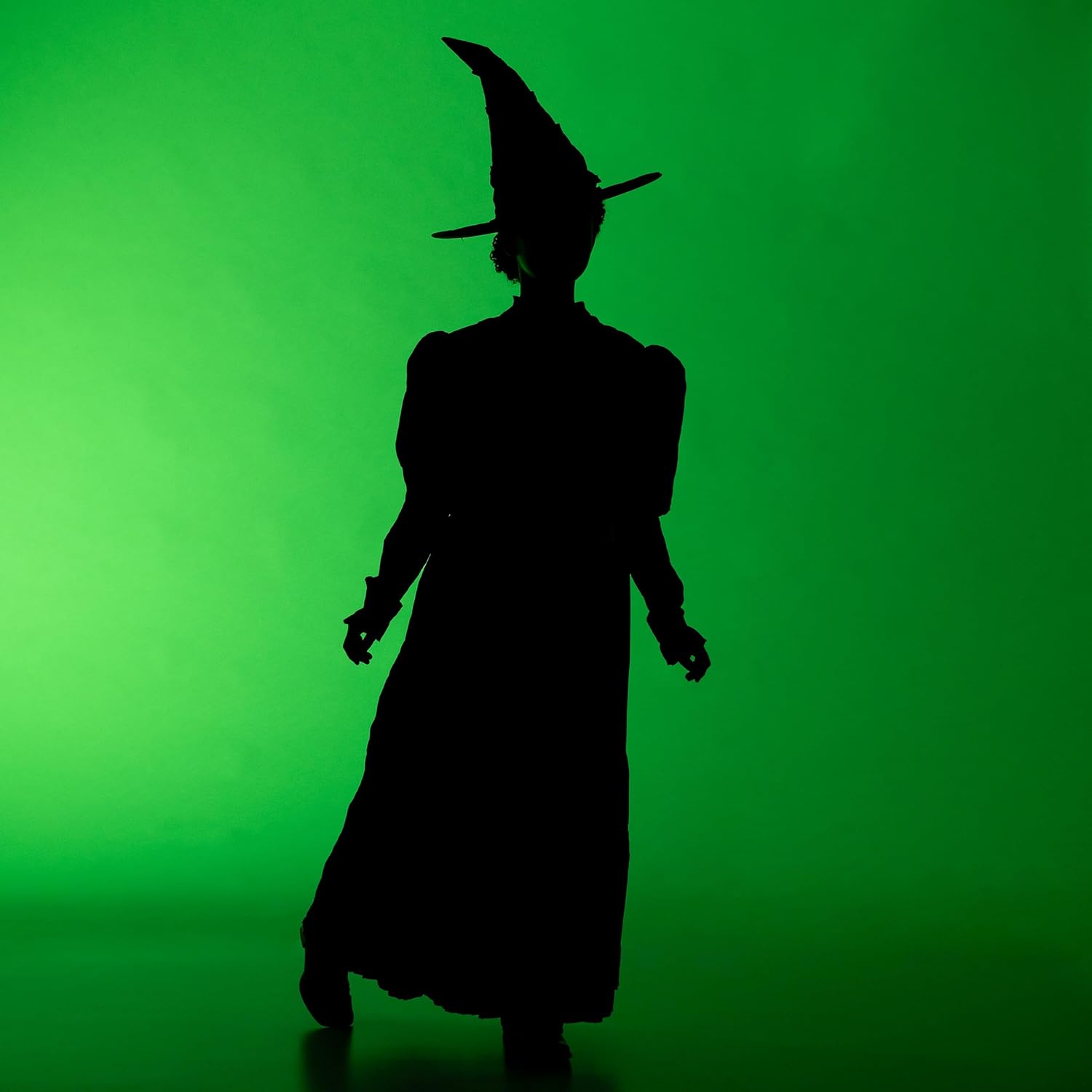 Girls Wicked Elphaba Costume for Thrilling Times