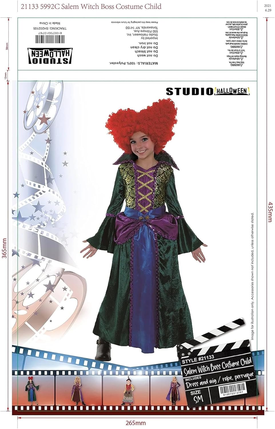 Studio Halloween Salem Witch Costume