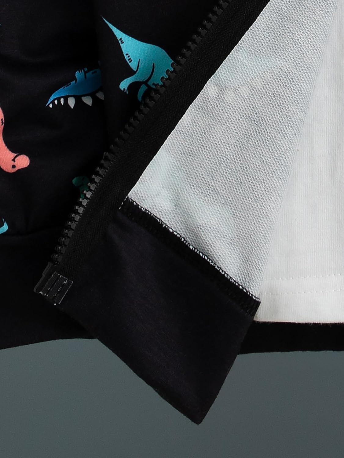 Premium Comfort Boys 2-Piece Dinosaur Print Outfit Set