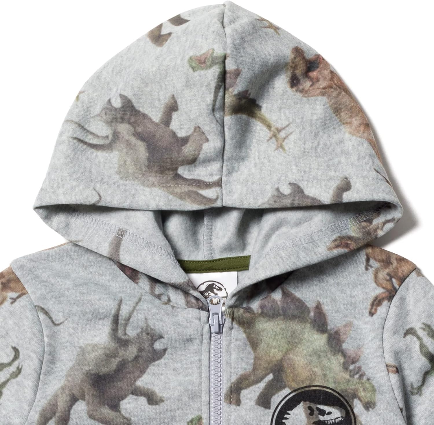 Little Kids to Big Kids Dinosaur T-Rex hoodie and pants set